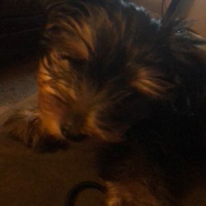 Meet your Posher, Beverly